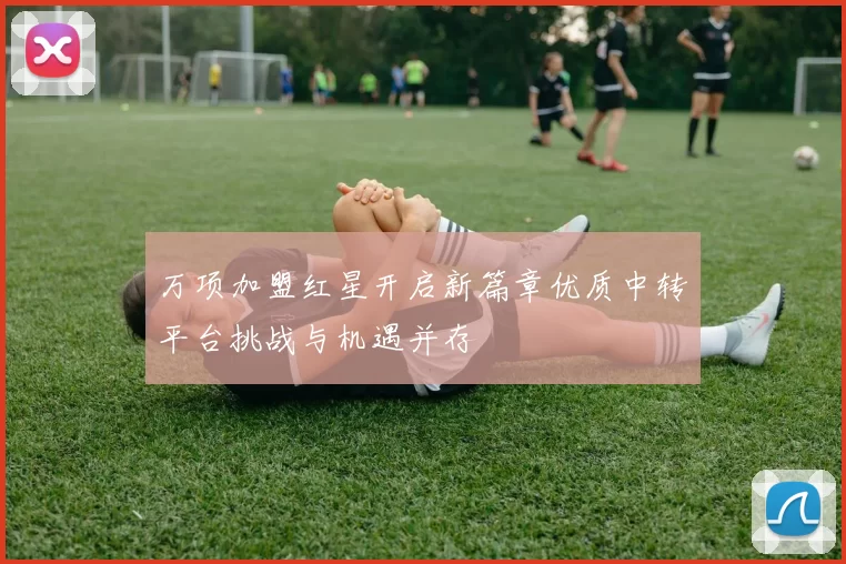 万项加盟红星开启新篇章优质中转平台挑战与机遇并存